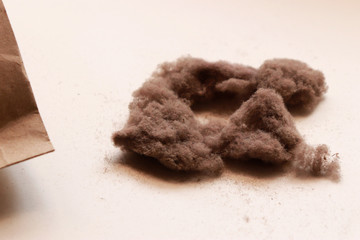 Bunch of Dust and One Paper Bag