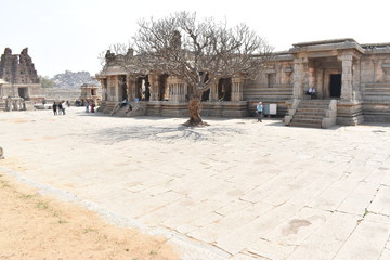 Fototapeta premium Vijaya Vitthala Temple with tree and its shadow in the middle clicked by Deep S. Nahar 