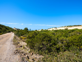 Fototapeta na wymiar Dirt road leading to the dunes of Piscinas, between wild vegetation of juniper and lentisk trees