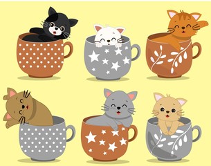 Obraz premium CAT IN A CUP 4