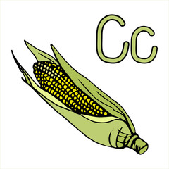 Learning letters letter C. Cartoon outline ear of corn. Vector outline freehand drawing, sketch, vegetable, garden black lines, isolated white background, Visual material