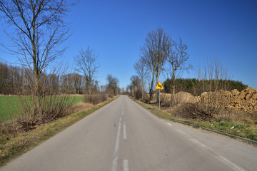 Asfaltowa droga wśród zielonych pól pod błękitnym bezchmurnym niebem