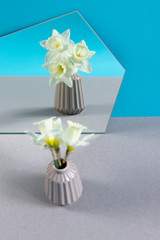 White daffodils bouquet in vase reflecting in mirror with blue and beige background