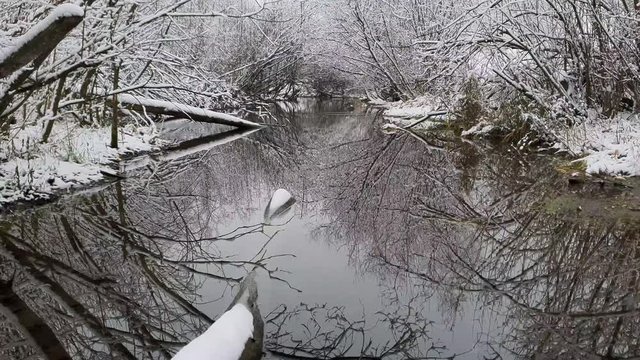 Drops of melted snow dripping from tree branches on a small river