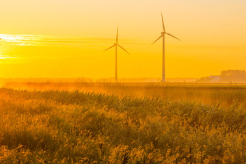 Misty canal in an agricultural field below a blue yellow sky in sunlight at a foggy sunrise in a spring morning