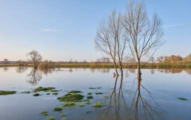 Spring landscape with a spilled river and flooded shores