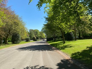 Large asphalt road, leading through a park, with old trees set against a vivid blue sky in, Lister Park, Bradford, Yorkshire, England
