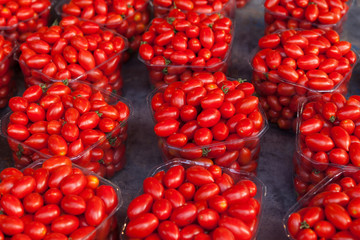 Fresh Organic Farm Tomatoes at the Market