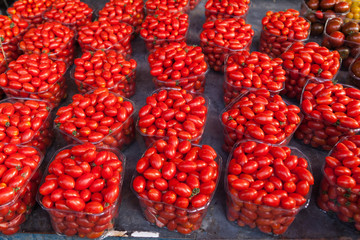 Fresh Organic Farm Tomatoes at the Market