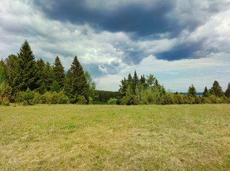 Fototapeta na wymiar storm clouds in the sky over a green meadow near the forest