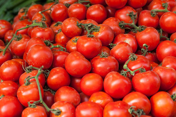Fresh Organic Farm Tomatoes at the Market