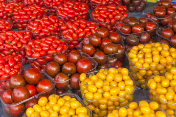 Fresh Organic Farm Tomatoes at the Market