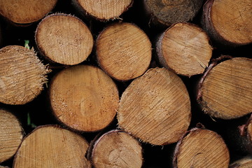 Frontale Aufnahme eines Holzstapels