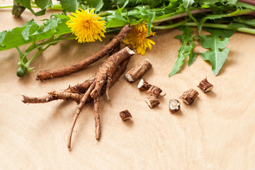 Young fresh dandelion roots on a wooden background