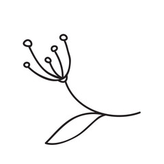 Vector stock illustration with single object: plant, hand drawn, doodle style.