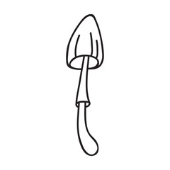 Vector stock illustration with single object: plant, hand drawn, doodle style.