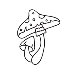 Vector stock illustration with single object: plant, hand drawn, doodle style.