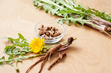Young fresh dandelion roots on a wooden background