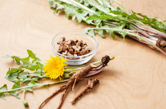 Young fresh dandelion roots on a wooden background