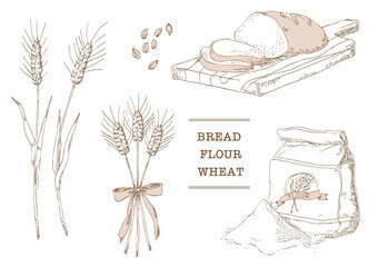 小麦　小麦粉　パン　ベクターイラスト
