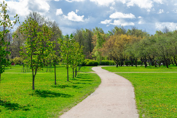 Fototapeta na wymiar A winding path in a city Park. Spring landscape.