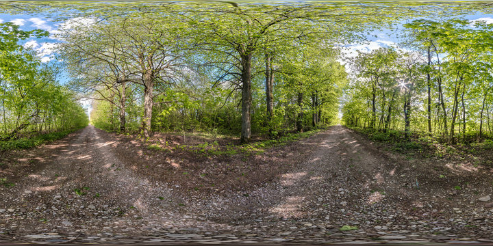 full seamless spherical hdri panorama 360 degrees angle view on no traffic gravel road among tree alley in summer day in equirectangular projection, ready  VR AR virtual reality content