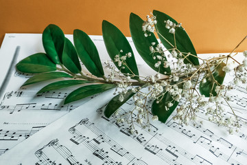printed music notes and flowers