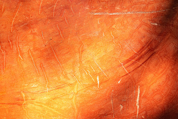 Surface and scratch texture background of the log