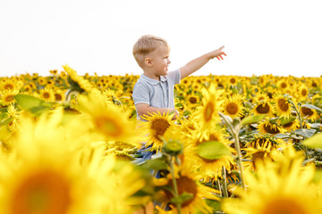 Fototapeta premium Father and son having fun in field of sunflowers. Little boy sitting on his dad shoulders and smiling. Summer outdoors lifestyle, family leisure, parenthood