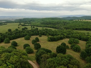Aerial view of a beautiful forest . 