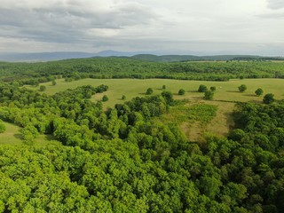 Aerial view of a beautiful forest . 