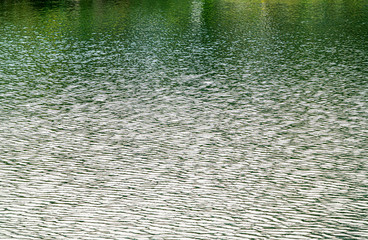 The sparkling surface of the lake water in a beautiful park and water background.