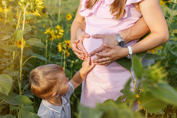 Little boy touching belly of her pregnant mother on the background of field of sunflowers. Couple create heart sign on pregnant woman's belly. Summer outdoors lifestyle, family leisure, pregnancy