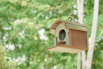 Wooden Bird house with green background.