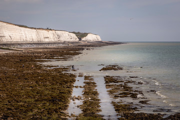 chalk cliffs at Brighton marina