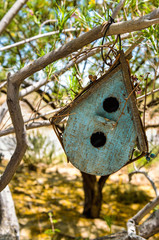 Vintage old blue birdhouse hanging off tree branch closeup