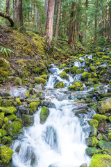 lover's lane fall,water fall before  to Sol duc fall in Olympic national park area,Washington,usa.