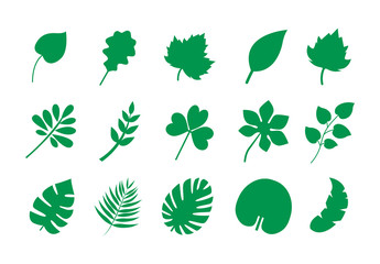 Set of leaf icons. Different green leaves of plants. Vector flat icons.