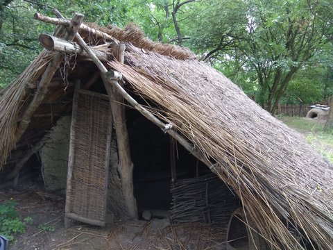 Stone Age Village Shrub House