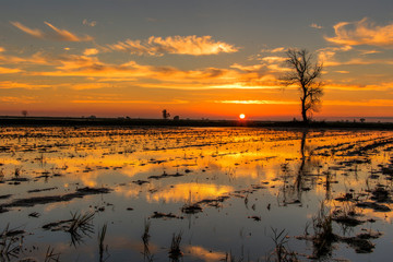 Delta del Ebre