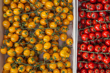 Fresh Organic Farm Tomatoes at the Market