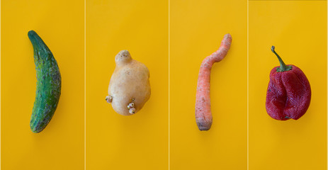 Creative collage with ugly vegetables on a bright background, deformed vegetables, banner for...