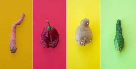 Creative collage with ugly vegetables on a bright  colorful background, deformed vegetables, banner...