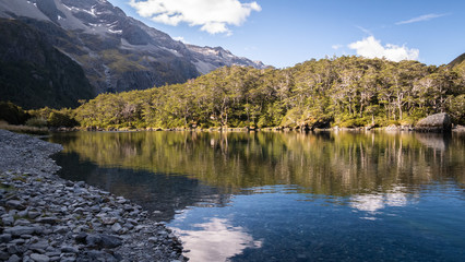 Pristine alpine lake surrounded by trees and mountains, shot from bank of the lake at Nelson Lakes National Park, New Zealand