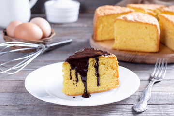 Close up of piece sponge cake with chocolate on a white plate