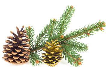 Sprig of fir tree with cones isolated on a white background. Christmas decoration.