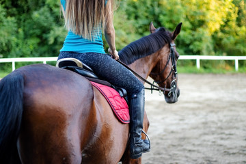 Obraz premium Young beautiful brunette girl riding a horse. Rear view.