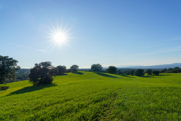 countryside landscape with green fields with trees, shadows, bushes and green grass and sun behind under blue sky