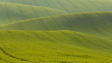 A landscape of waves called Moravian Tuscany in the Czech Republic.