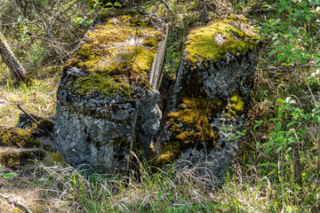 old bunker pieces in the forest